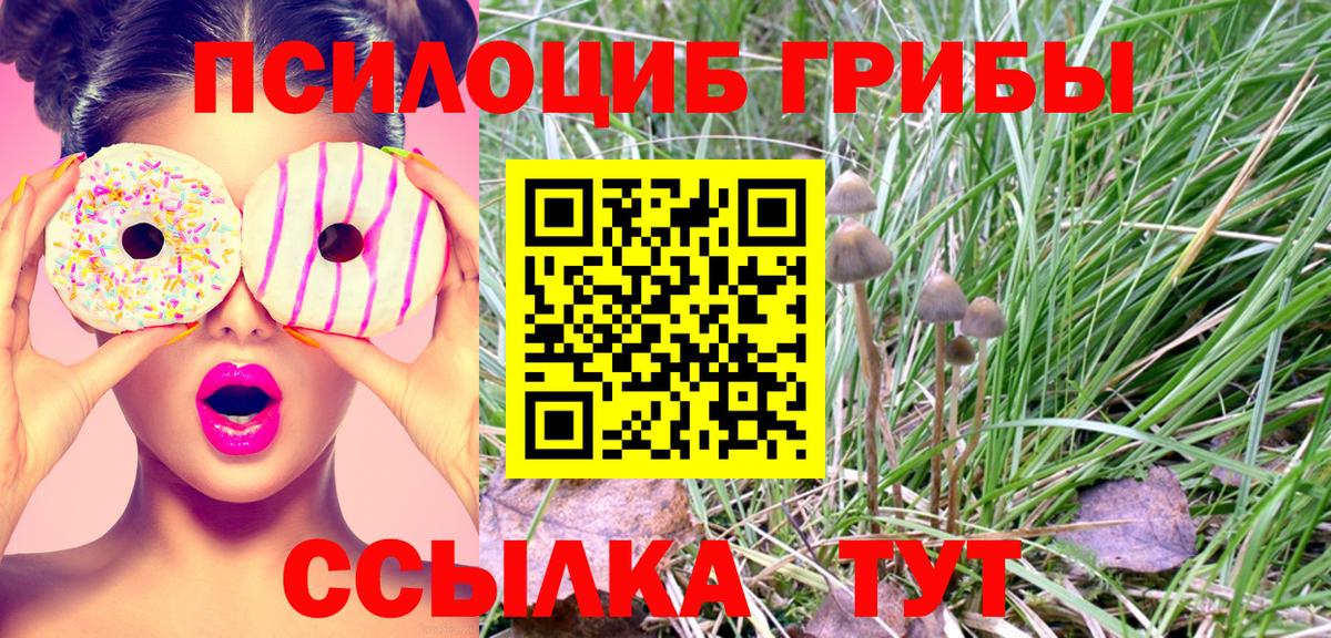 Псилоцибиновые грибы MAGIC MUSHROOMS Кунгур